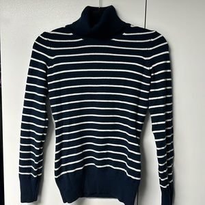 Striped Turtle Neck